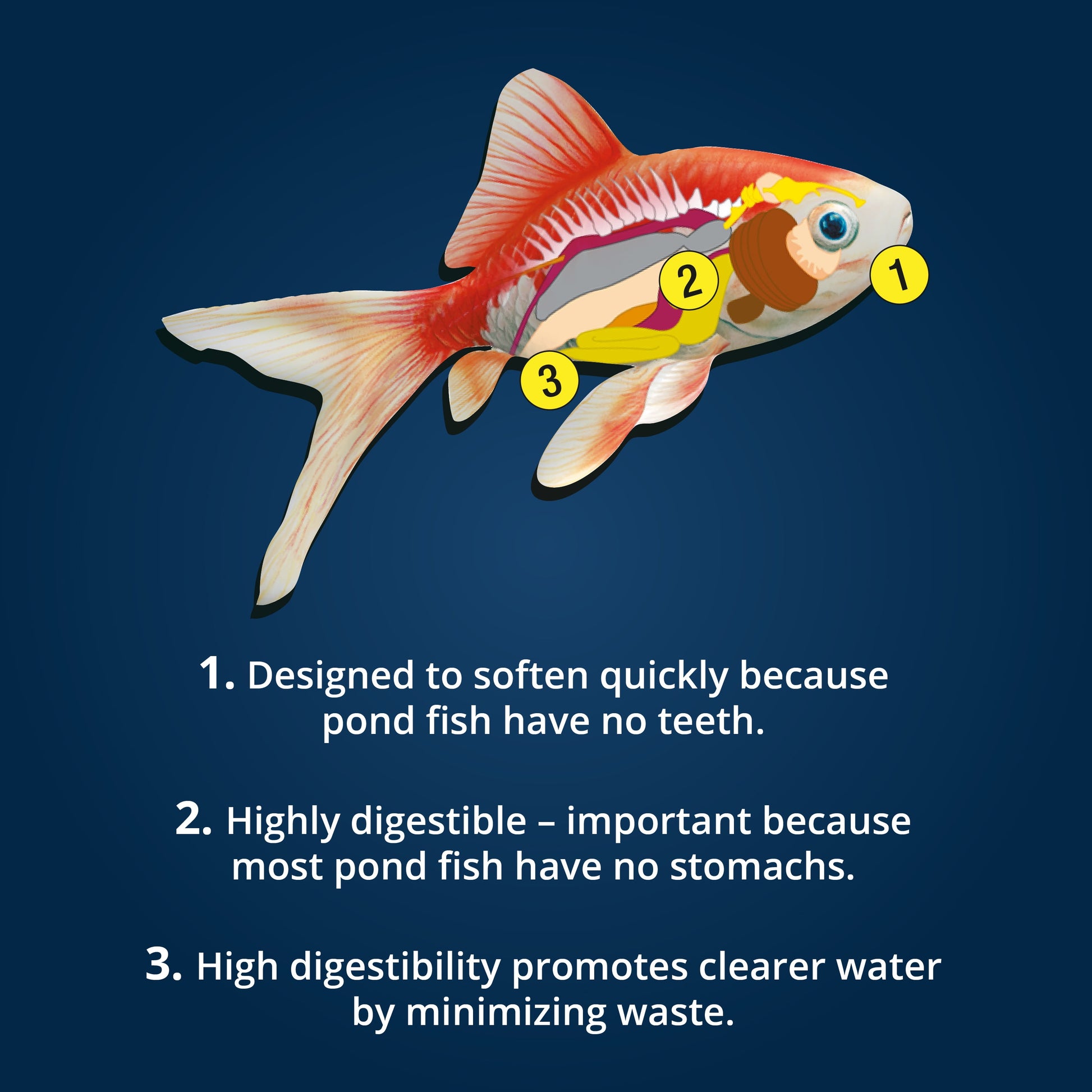 Pond Fish Food Premium Sticks Diet for Koi and Goldfish, 1.25 Lbs